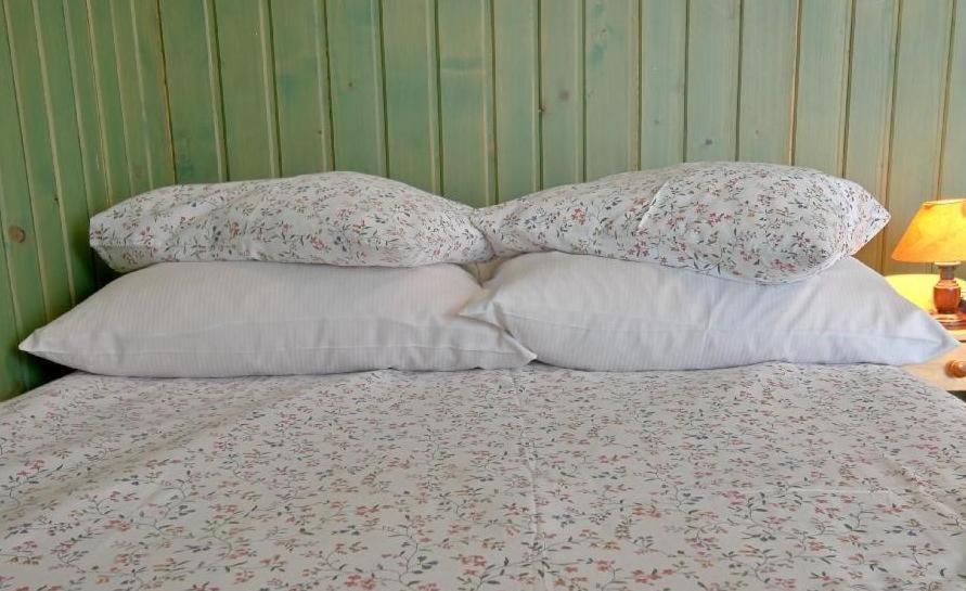 Willa Anna Zakopane Habitación foto